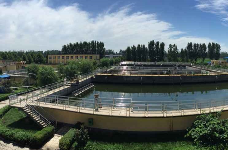 菠萝蜜污污视频處理